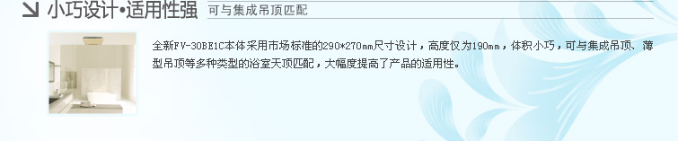 FV-30BE1C小巧设计，适用性强